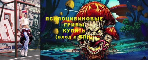 мдпв Арсеньев
