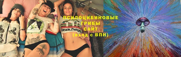гашик Армянск